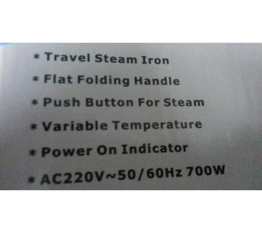 plam size steam iron