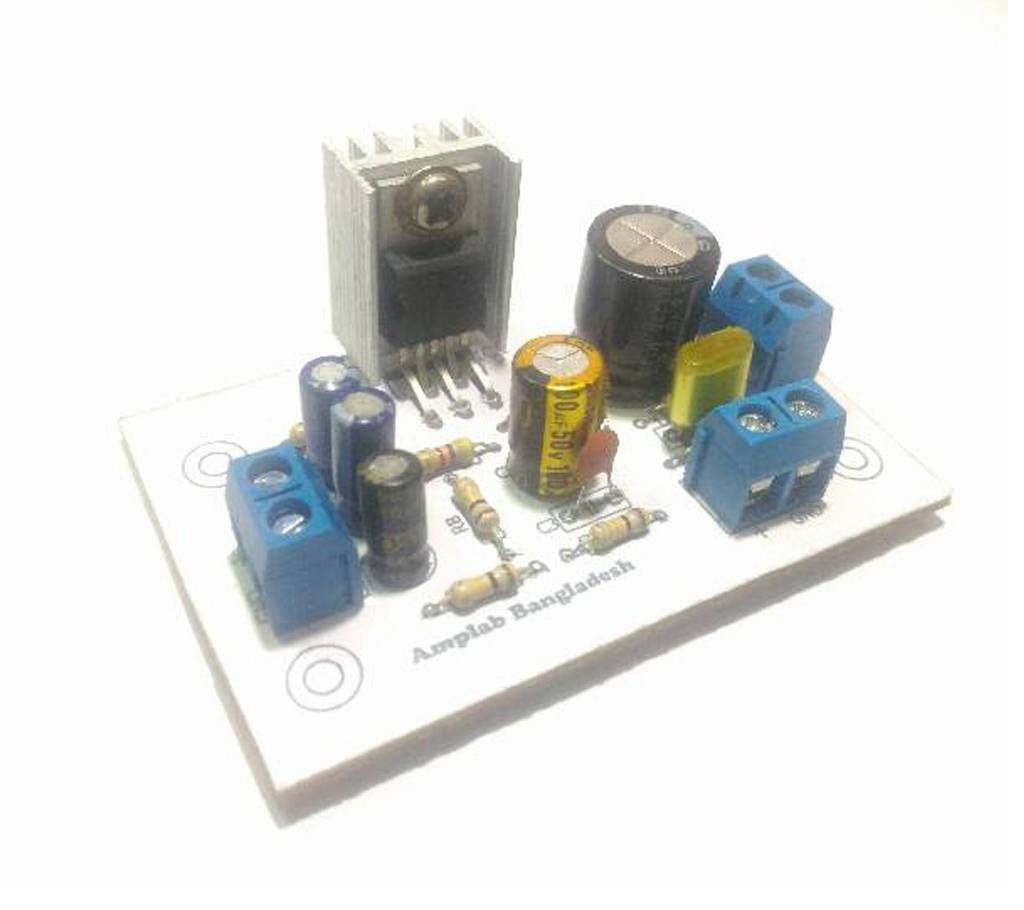 Amplifier ( 10 watt , Mono Output )