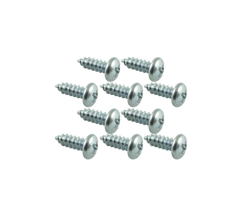 Pan Head Screw (12 piece)