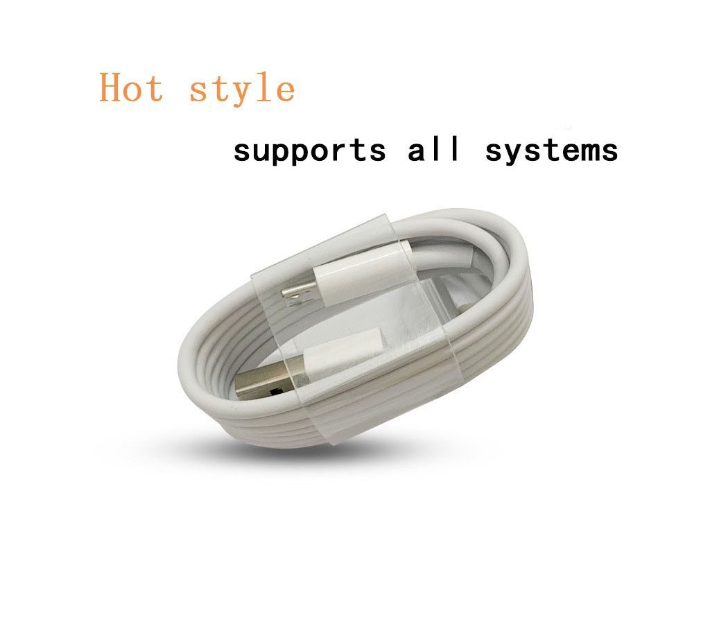 Apple fast charging cable