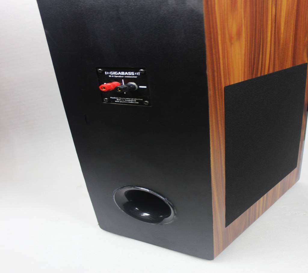 Gigabass Chord V2 Passive floorstand speaker