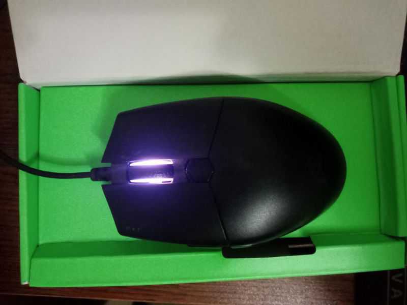 MOUSE FOR SELL