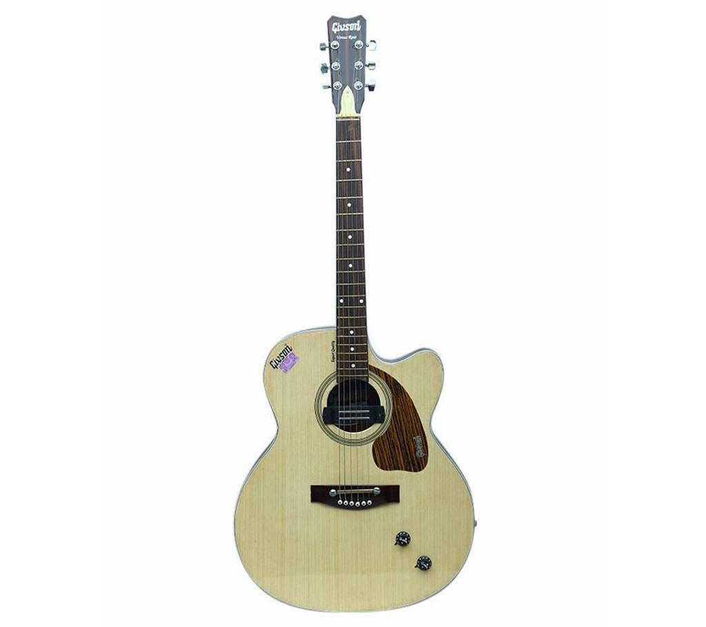 Givson Indian Acoustic Guitar