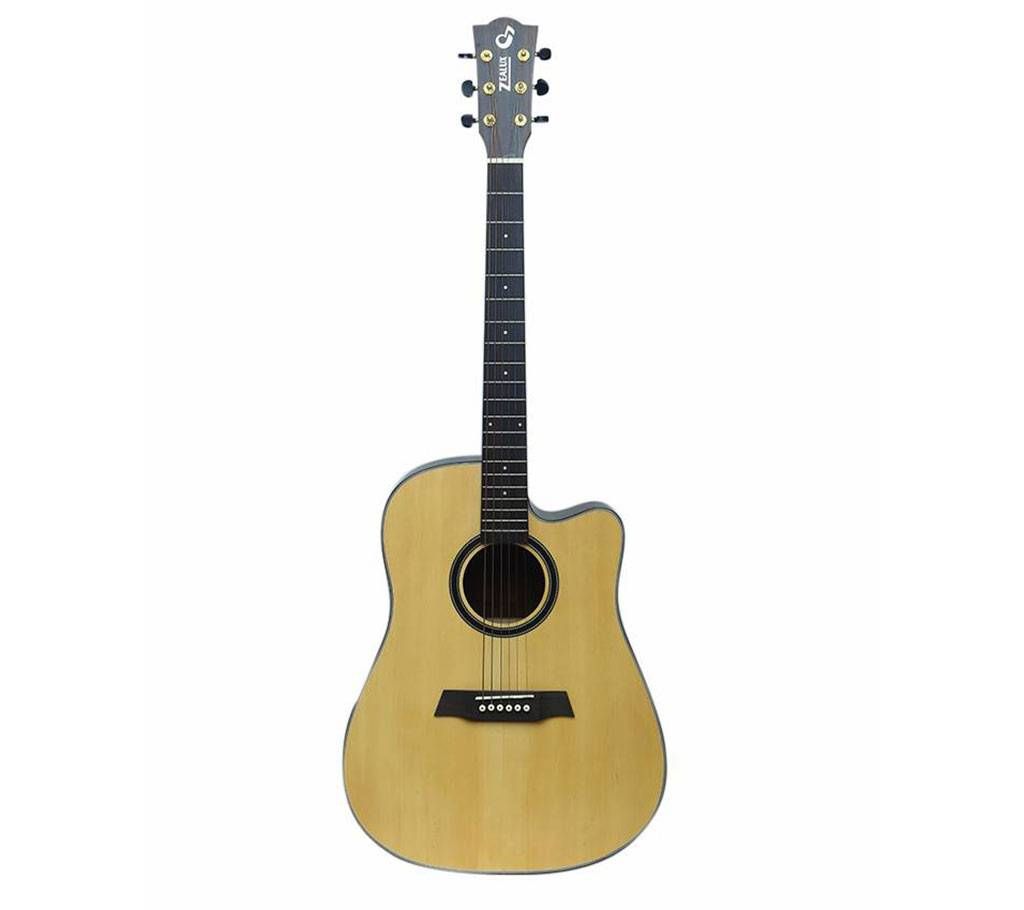 Zealux Professional Acoustic Guitar