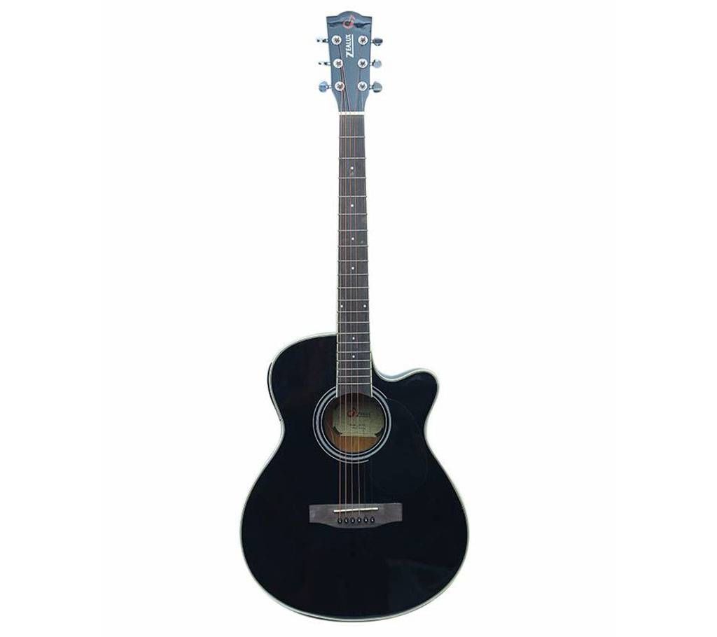 Black Professional Semi Acoustic Guitar