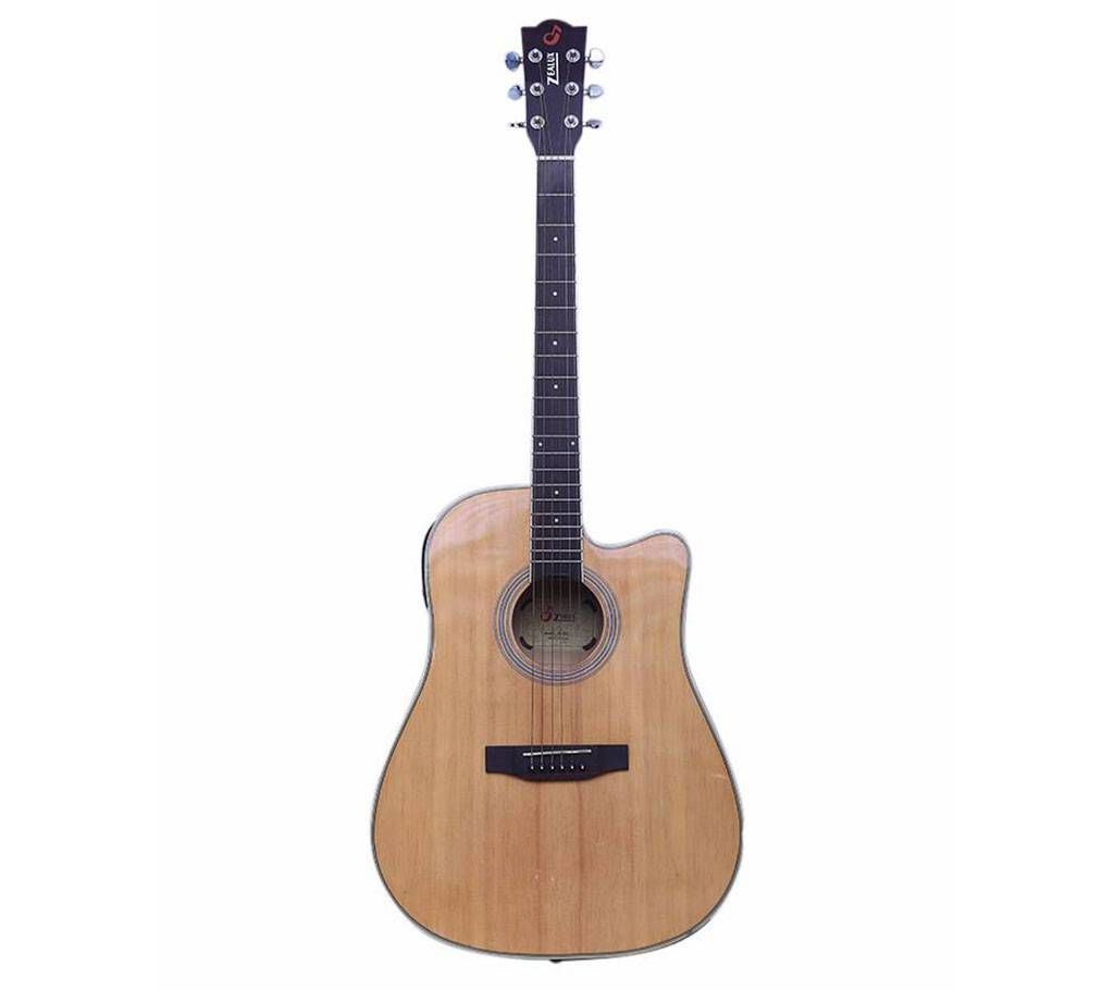 Professional Jumbo Semi Acoustic Guitar