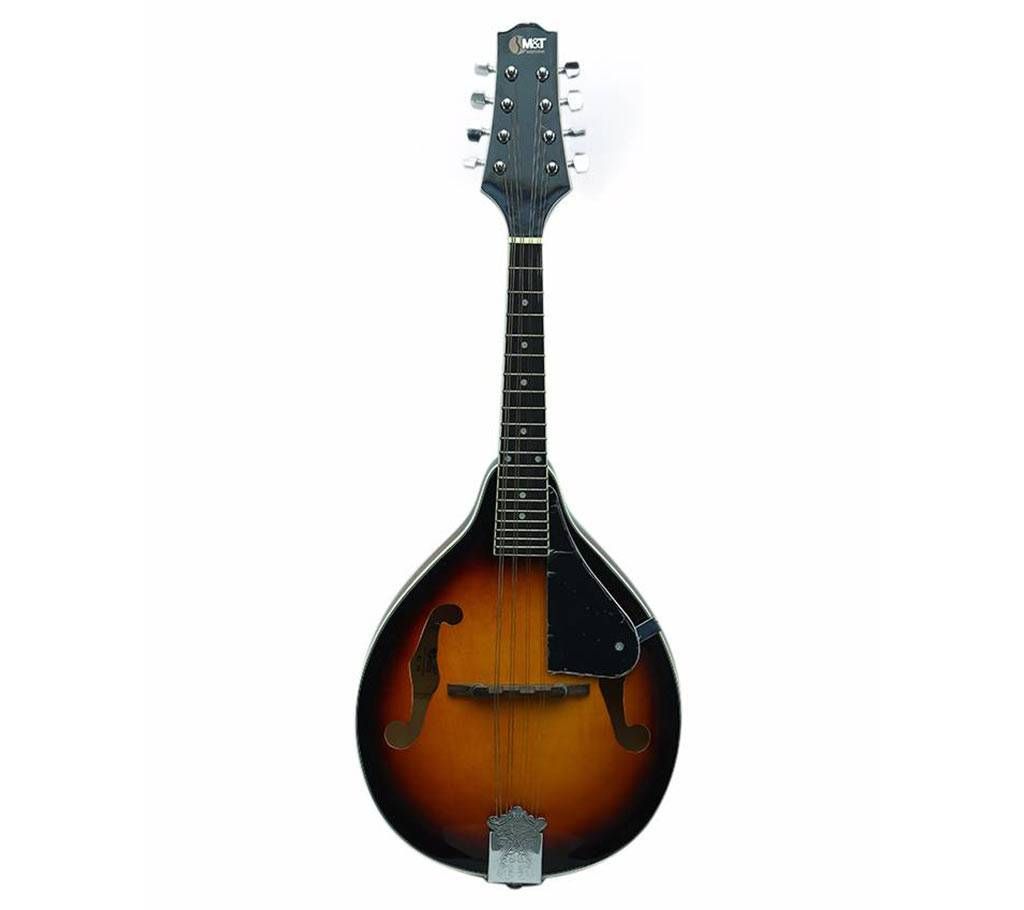 Professional Mandolin