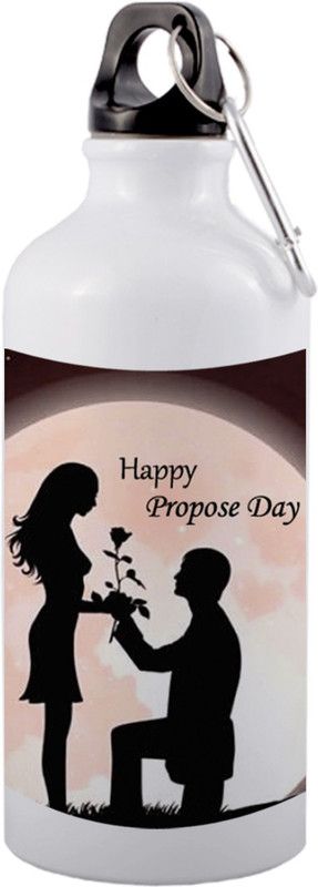 COLOR YARD best happy propose day boy propose to girl in black design on 600 ml Sipper  (Pack of 1, Multicolor, Aluminium)