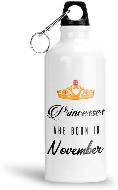 Furnish Fantasy Princesses are Born in November Aluminium Bottle- Best Birthday Gift(0101) 600 ml Sipper  (Pack of 1, White, Aluminium)