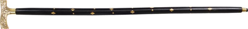 zyrah Dan11 Walking Stick