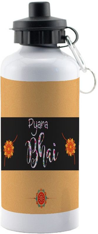 LOF Sipper for brother 600 ml Sipper  (Pack of 1, Multicolor, Aluminium)