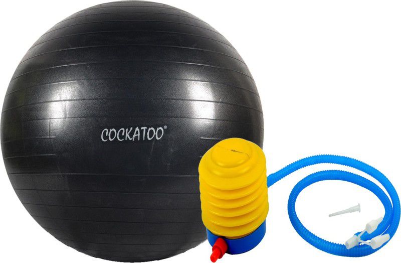 COCKATOO Anti Burst Gym Ball  (With Pump)