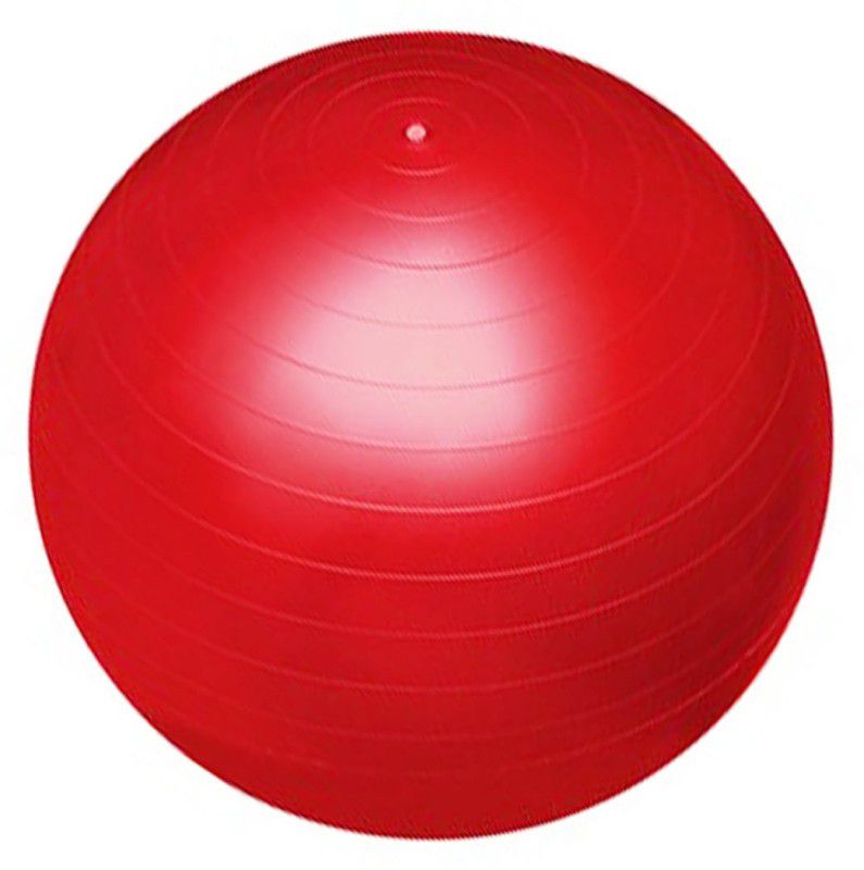 INSTAFIT Pro-workout Gym Ball  (With Pump)