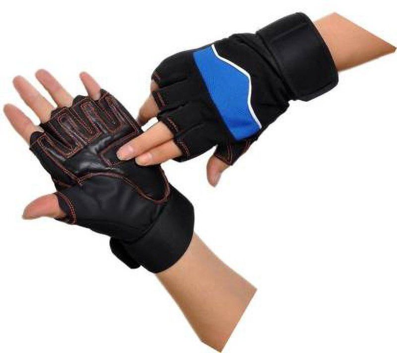 zaysoo Workout Gym & Fitness Gloves Gym & Fitness Gloves  (Black, Blue)