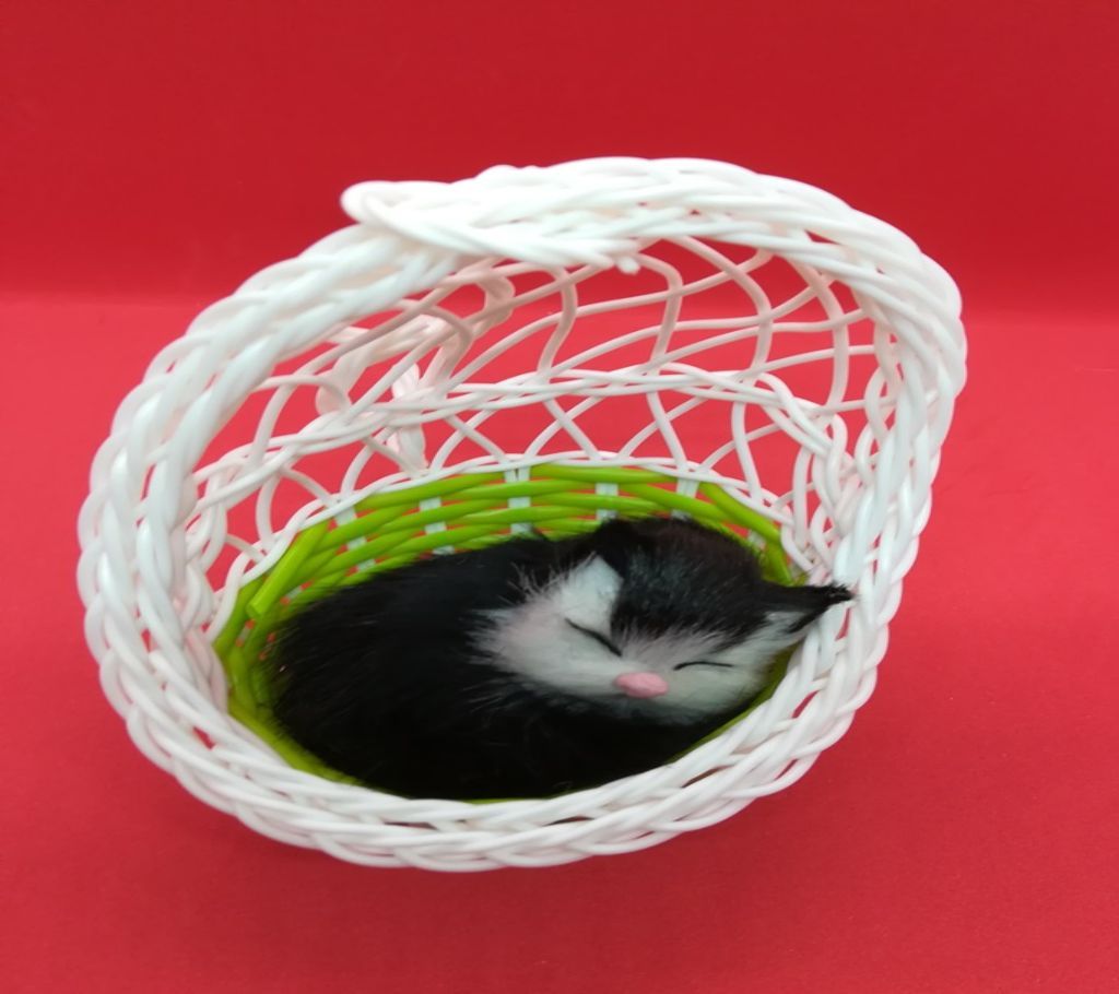 Basket Cat