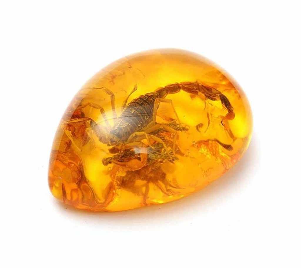 Natural Insects Amber Gemstone Ornament Originality Scorpions butterfly Bee Crab Decorations DIY Crafts Gift