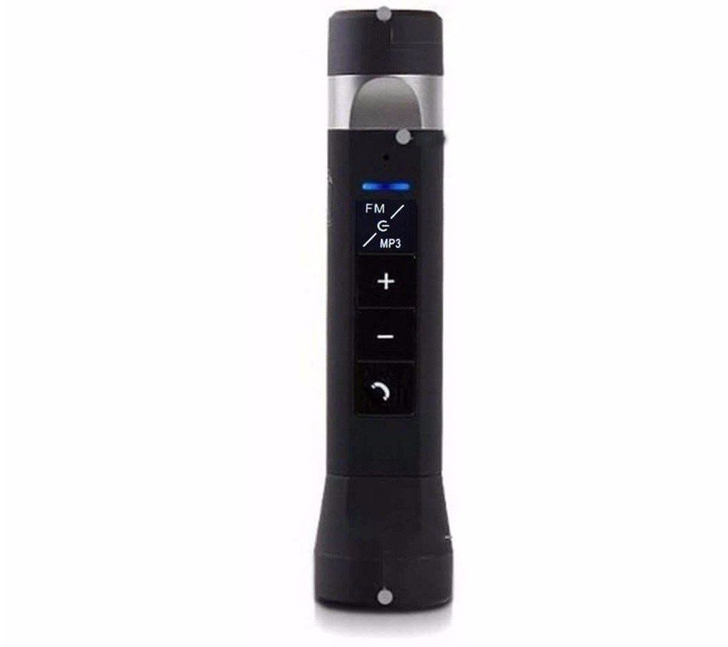 Musical Torch with FM radio