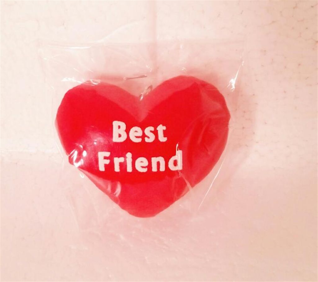 Best Friend Key Ring (2 pic ) 