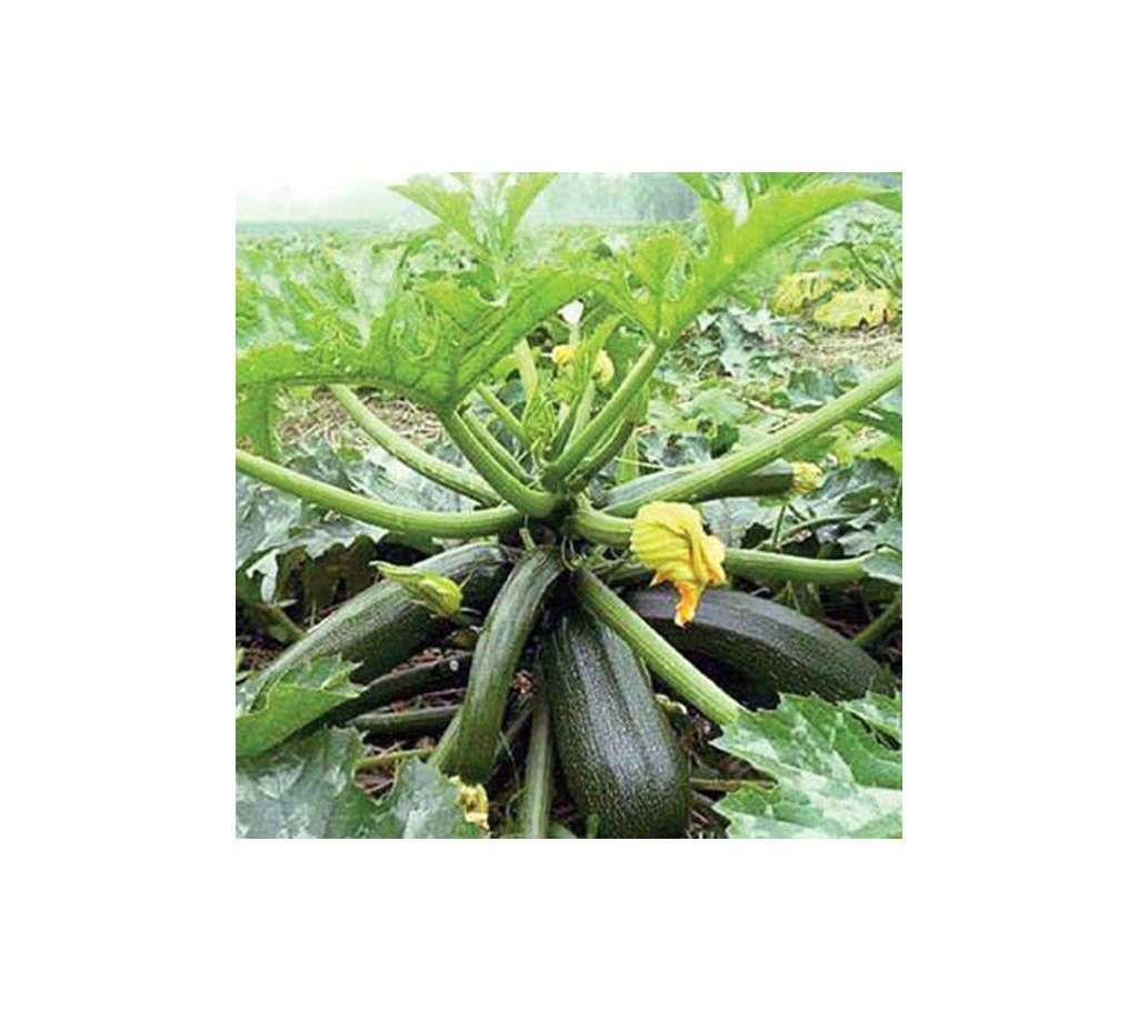 Squash