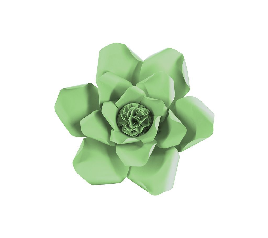 Adonis Nis Flower - Paste - 1.8 Feet