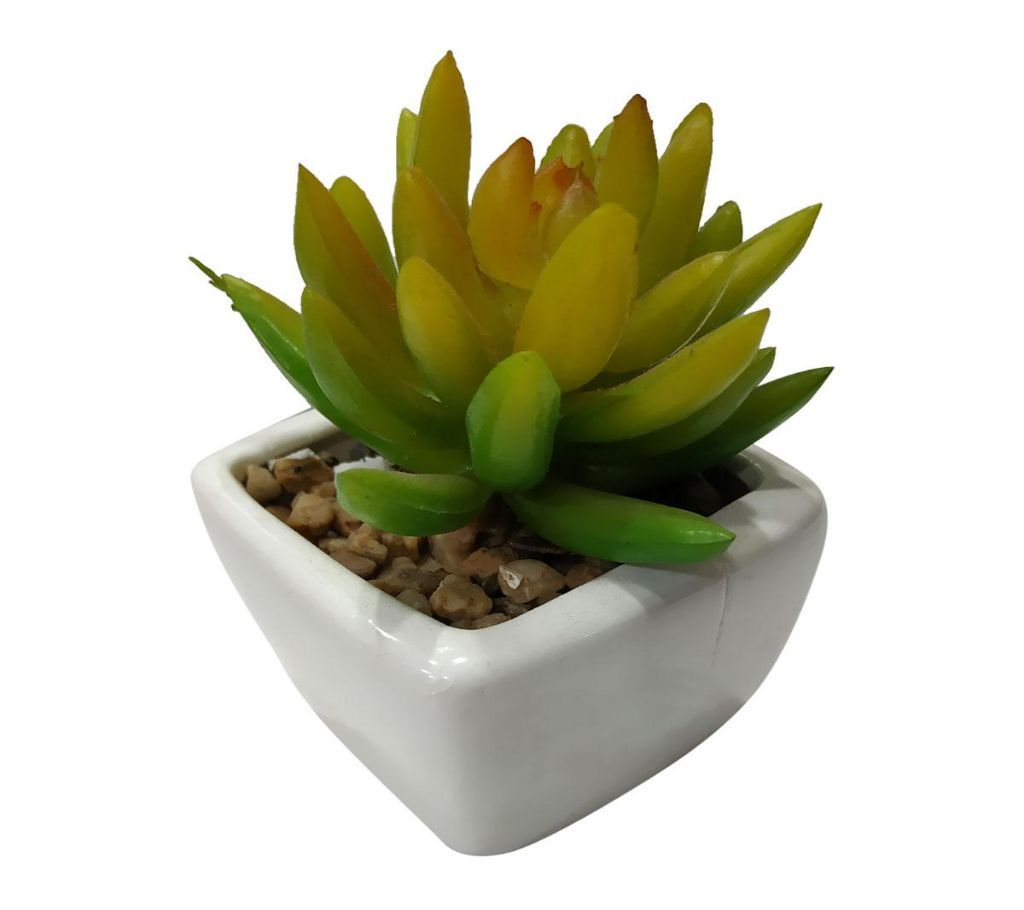 Artificial Succulent Plant Showpiece