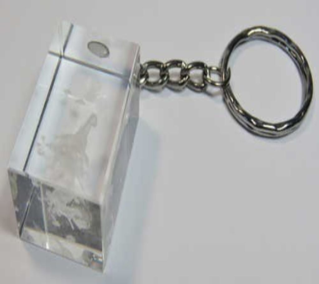 LED Key Ring1