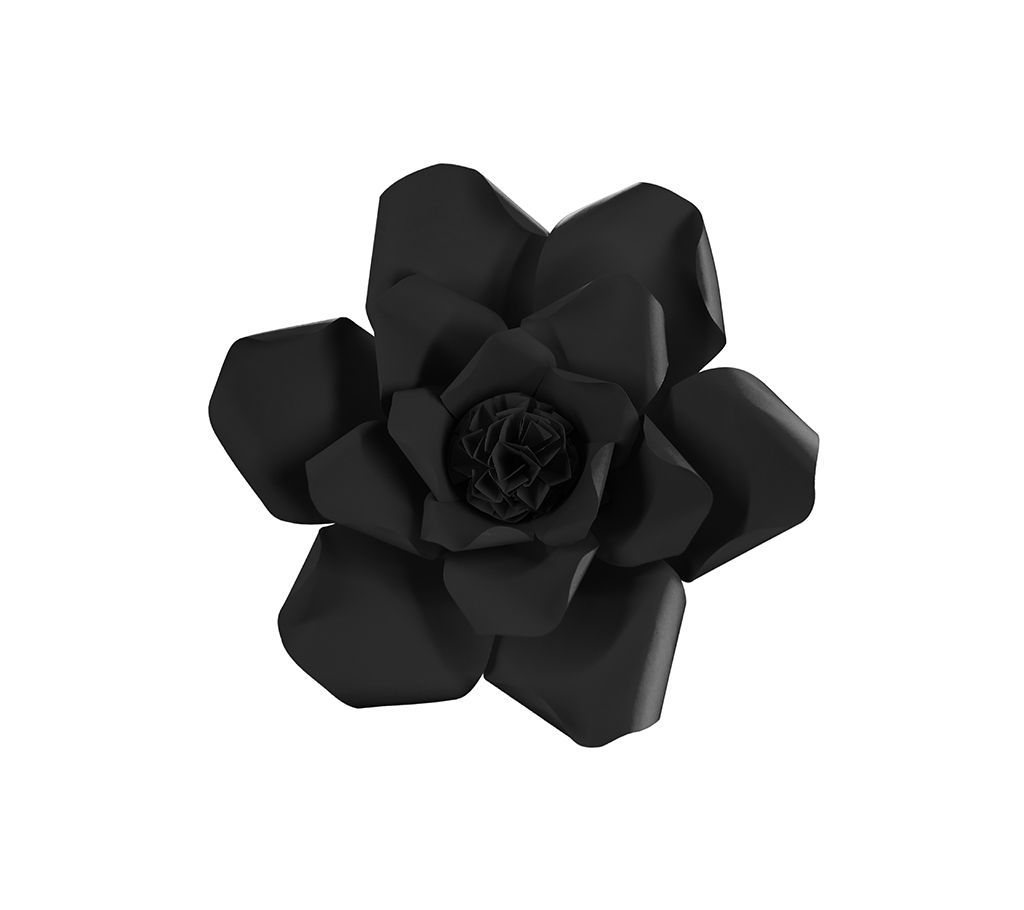 Adonis Nis Flower - Black - 1 Feet