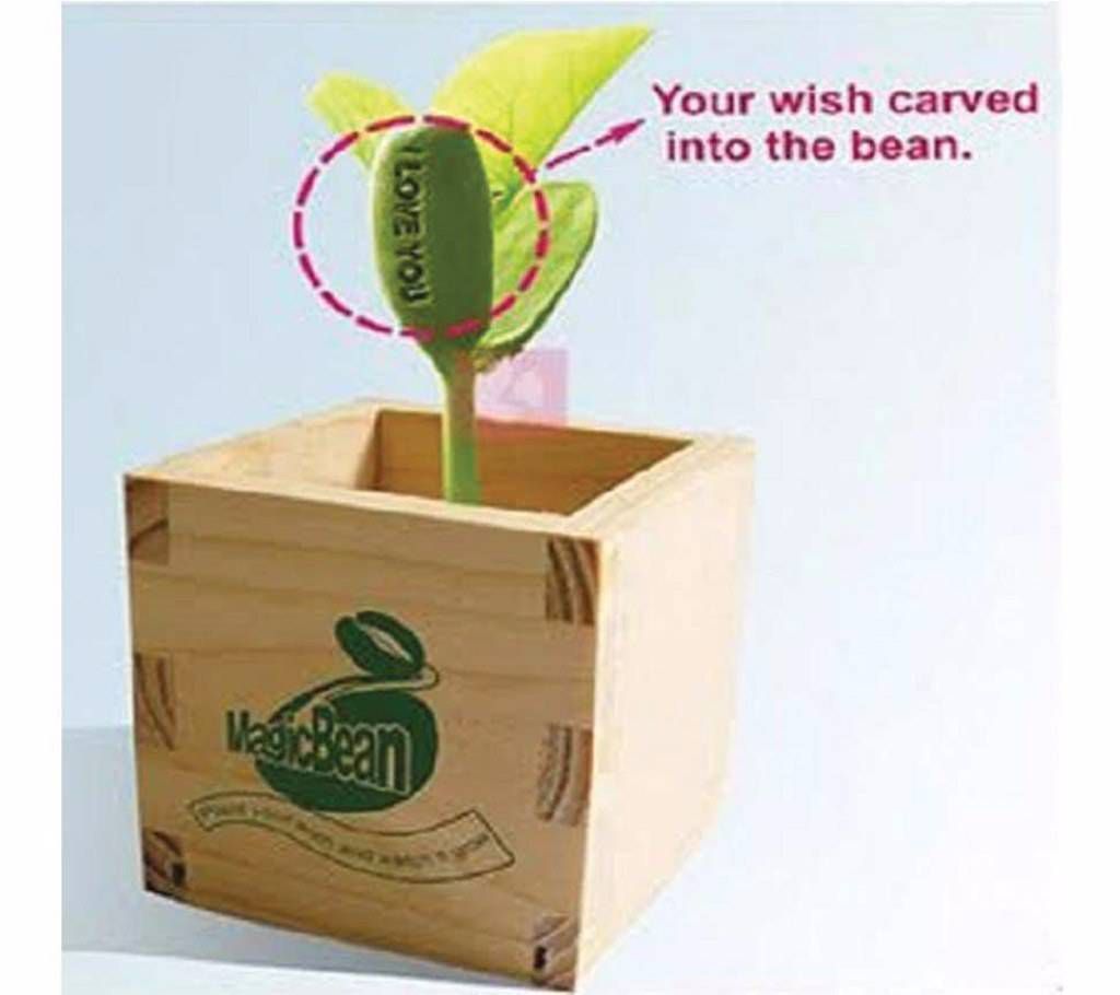 Magic bean for special gift 