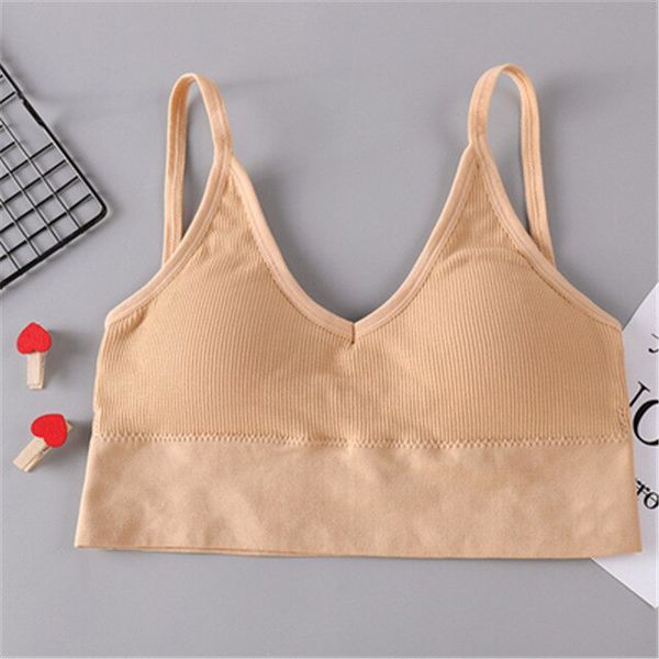 Ladies Push Up Bra Women  Fitness Sport Padded Brassiere Bra Wire free Non-Convertible Straps Bra