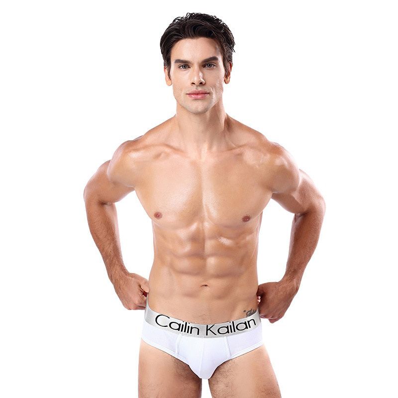 Sexy Men Briefs Men's Breathable Brief Underpants Modal Comfortable Mens Soft Briefs Solid Shorts Cueca Male Panties