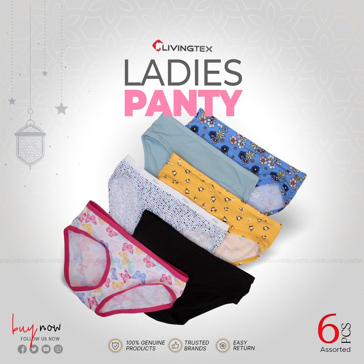 Livingtex Premium Quality Cotton Panties - 6 Pcs Multi Color Panty Set