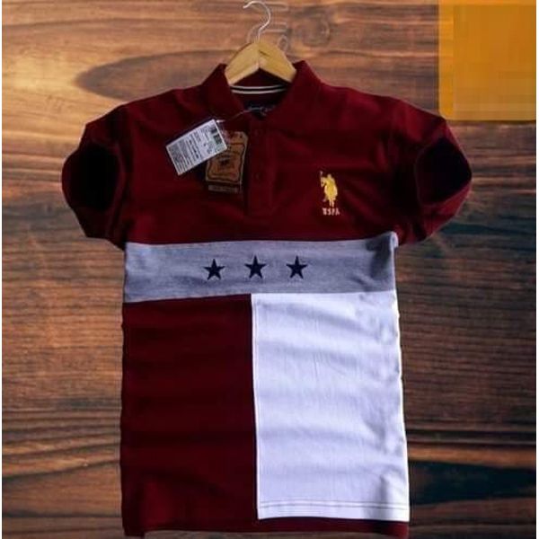 Eid Special Premium Polo Shirt For Men