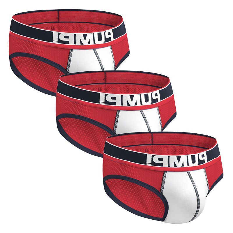 3Pcs/lot Mesh Sexy Gay Men  Men Briefs U Convex Cotton Mens Briefs Slip Men's Lingerie Cuecas H389