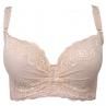 Lady Quick-drying Le Bra Underwear Push-Up Padded Underwire y Brassiere