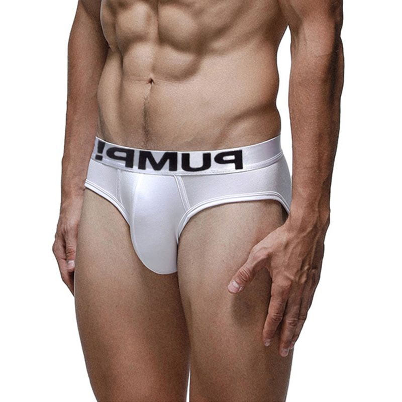 New Men's Briefs Male Cotton Men Solid Sexy Underpants Plus Size Young Gay Cuecas Mesh Breathable