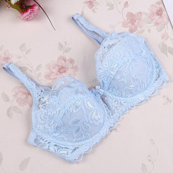 Women's Lace & Net Non Padded Non-Wired Regular Bra In Multicolor