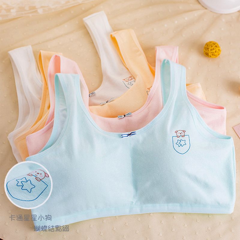 Multiple Color New Design Stylish Padded Bra Soft and Comfortable Stylish Undergarments Skin Friendly Bra