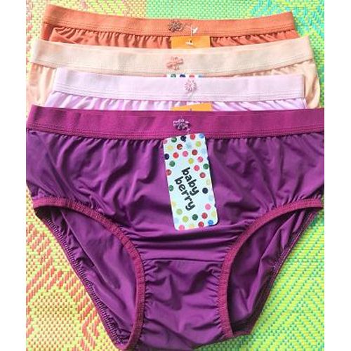 Export Quality -Full Transparent Panties Women_4 Pcs