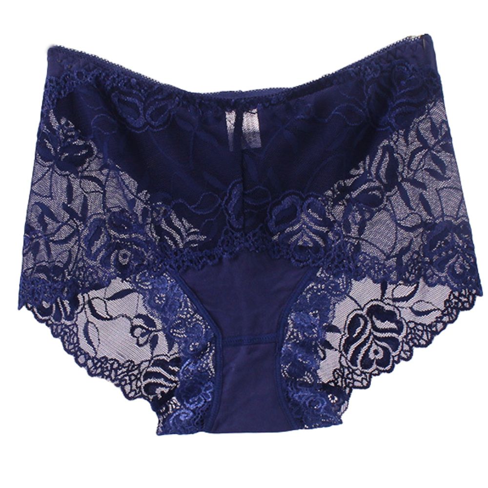 Women Solid Color High Waist Lace See Through Underpants Elastic Briefs