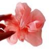 Women Solid Color Tulle Elastic Rope Ponytail Holder Scrunchy Hair cessory