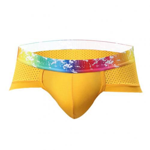 Sexy Men Briefs Waistband Underpants Homme Mesh Patchwork U Convex Elastic Briefs Breathable Mens Briefs Panties