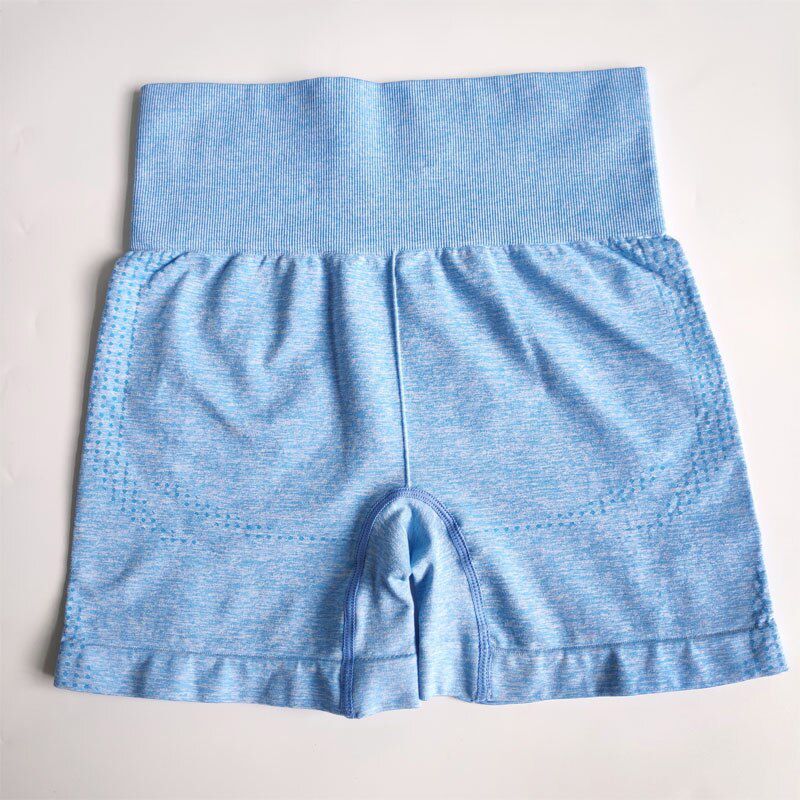 Nepoagym 7 Colors Vital Seamless Shorts 10CM Inseam Women Yoga Shorts Soft Matrial Workout Shorts High Waisted Gym Short