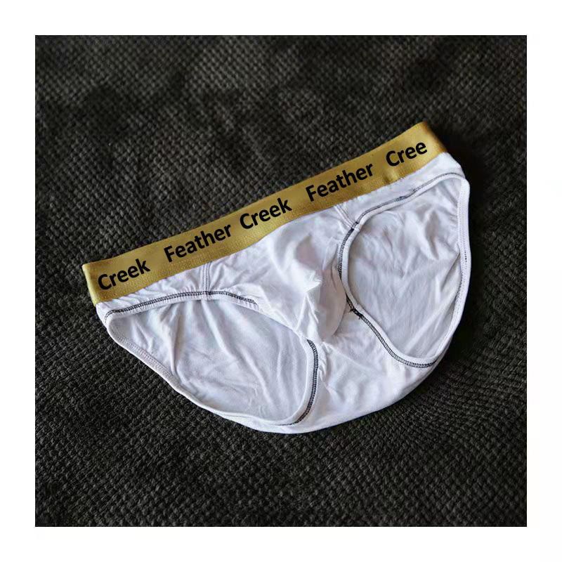 Mens Briefs Bulge Big  Pouch Seamless Mens Briefs Enhance Sexy Male Panties
