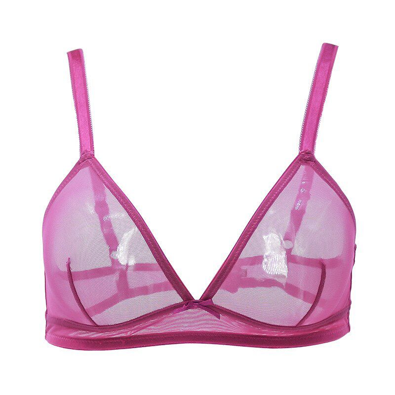 GERRITA Mesh Bralette Bra Triangle Translucent   Women Underwear Transparent Solid Color Crop Top Bustier Unpadded lingerie