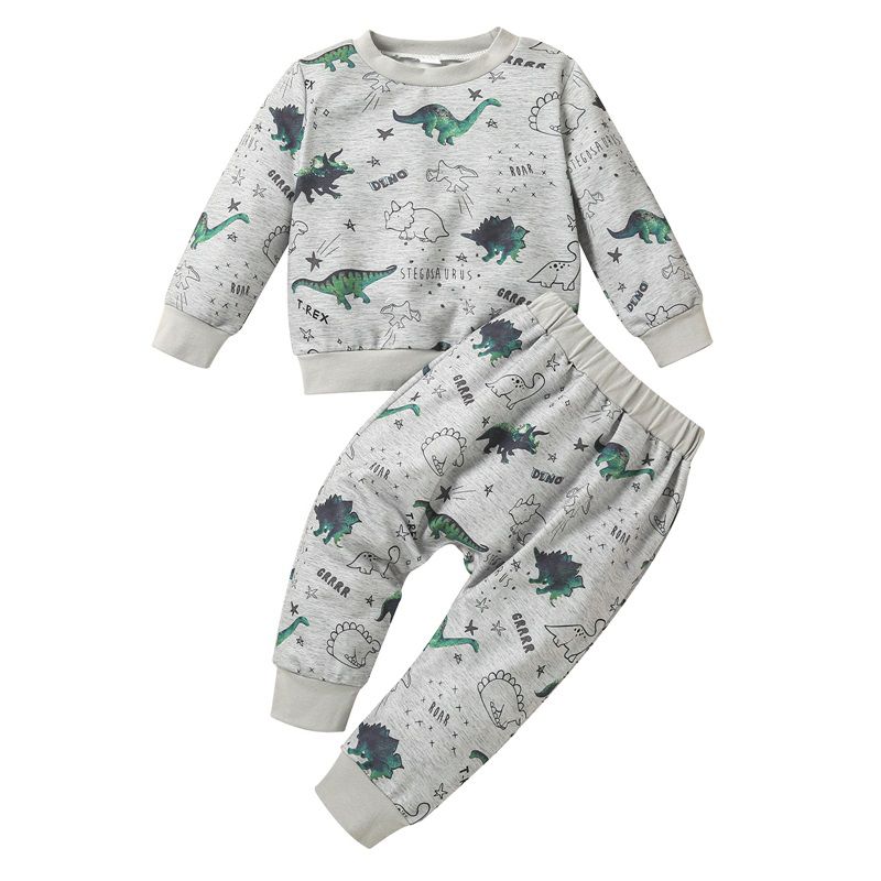 Girl Boy Two Piece Set, Baby Newborn Floral Dinosaur Printed Long Sleeve Pullover Shirt Trousers Pants