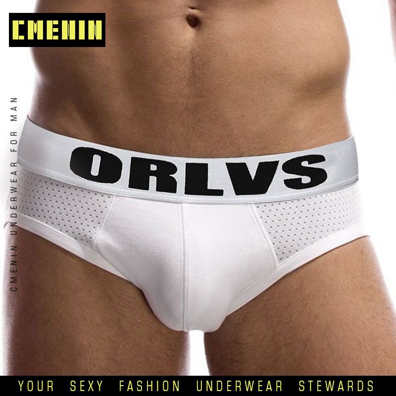 Sexy Fashion Gay Men Briefs Mesh Breathable Soft Cotton Pouch Underpants Cueca Male Panties Mens Lingerie OR489