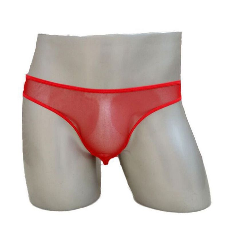 Full Transparent Mens Mesh Perspective Man Sexy Lingerie Hot Mens Gay Panties/Briefs M-XL