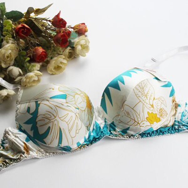 Silk Bra  Silk Underwear Double Face Silk Printing Fashion Health Bra
