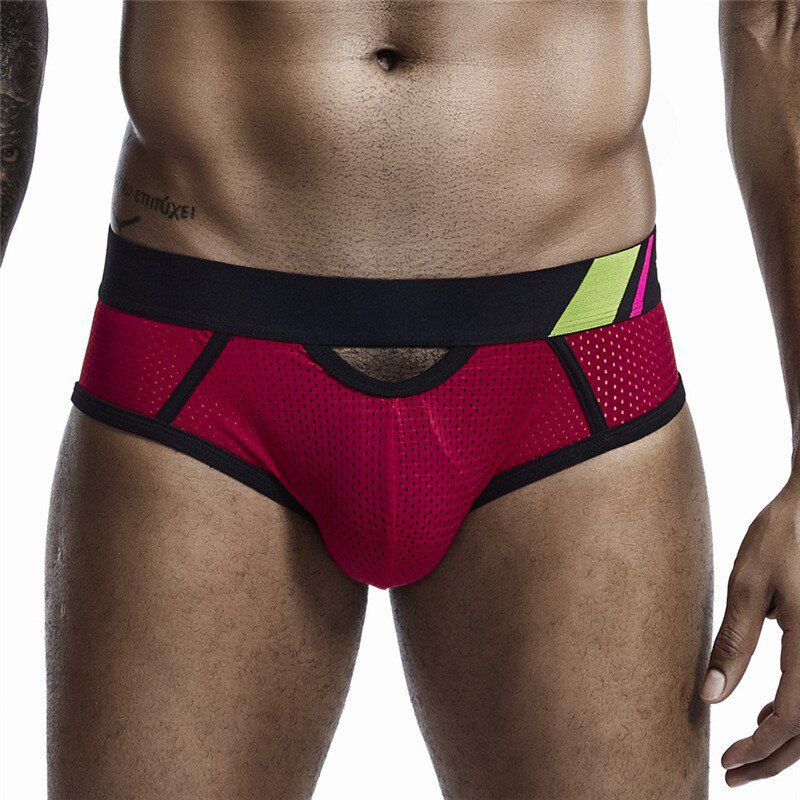 Fashion Sexy Underpants Men Briefs Breathable Mesh Briefs New Designed Low-waist Hollow Male Panties Gay