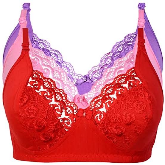 Women's India net bra